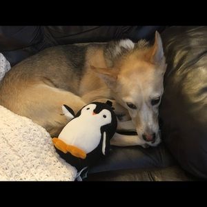 Meet your Posher, Aly